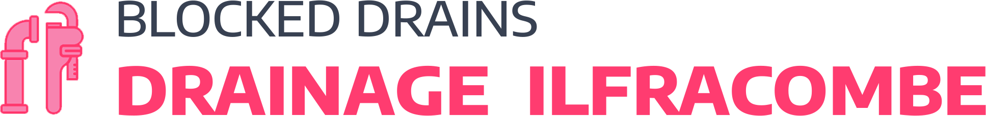 website logo